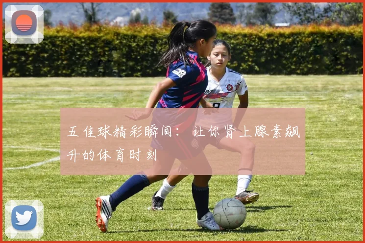 五佳球精彩瞬间：让你肾上腺素飙升的体育时刻