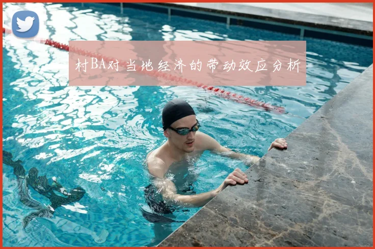 村BA对当地经济的带动效应分析