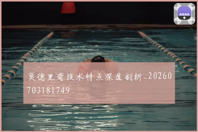 莫德里奇技术特点深度剖析_20260703181749