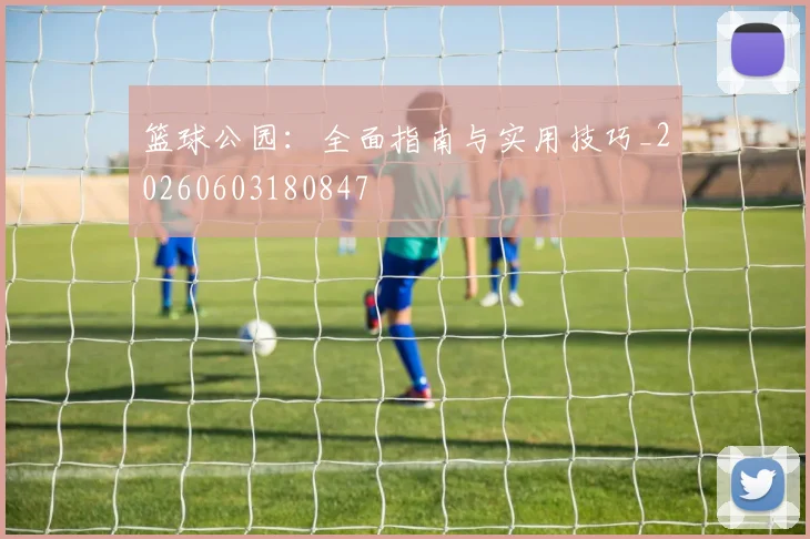 篮球公园：全面指南与实用技巧_20260603180847