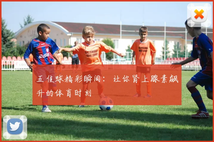 五佳球精彩瞬间：让你肾上腺素飙升的体育时刻